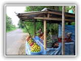 fruit_on_the_road1