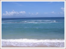 Swimming in the Bali Sea