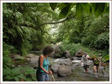 Jungle trekking in Sawan